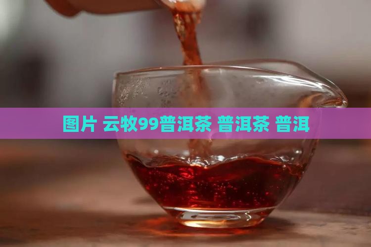云牧99普洱茶