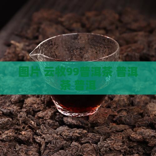 云牧99普洱茶