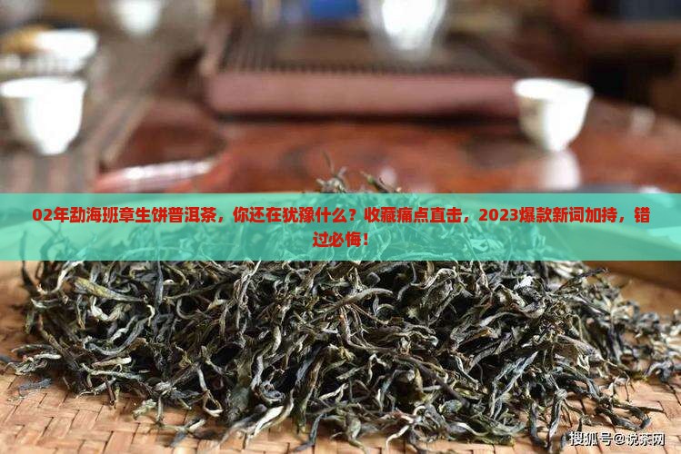 02年勐海班章生饼普洱茶