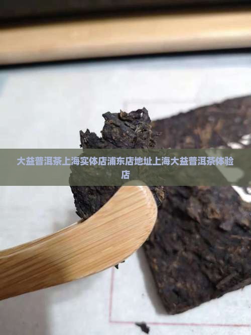 大益普洱茶上海实体店浦东