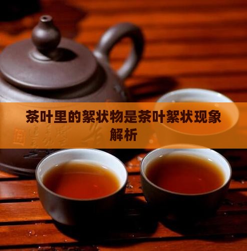 茶叶里面的絮状物是什么