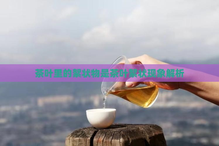 茶叶里面的絮状物是什么