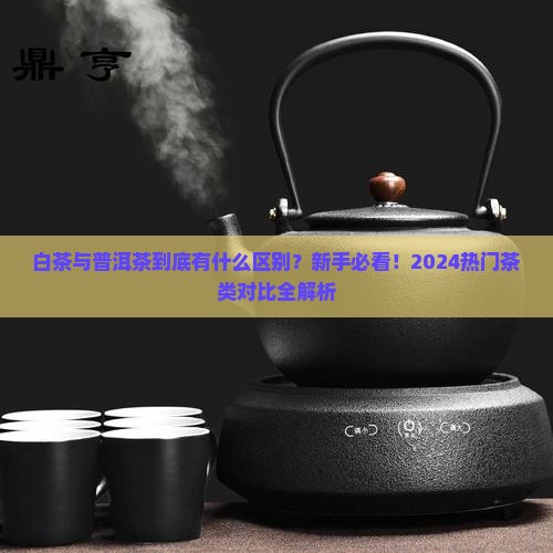 白茶与普洱茶的区别对比
