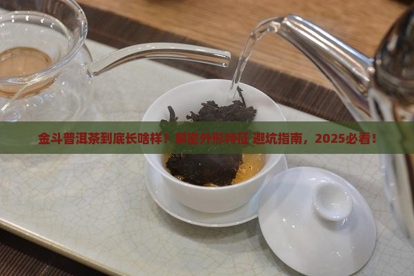 金斗普洱茶外形特征介绍