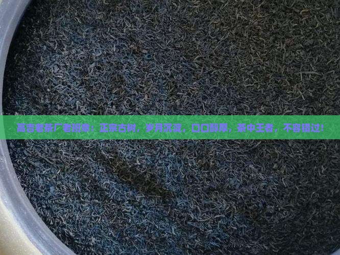 高吉老茶厂老班章