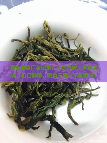 高吉老茶厂老班章