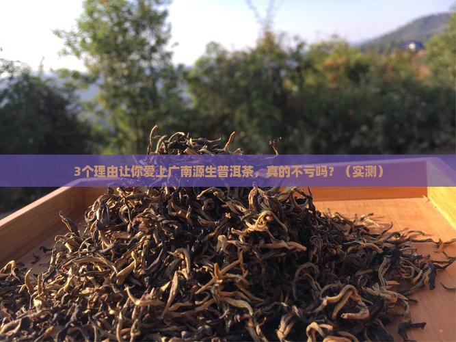 广南源生普洱茶