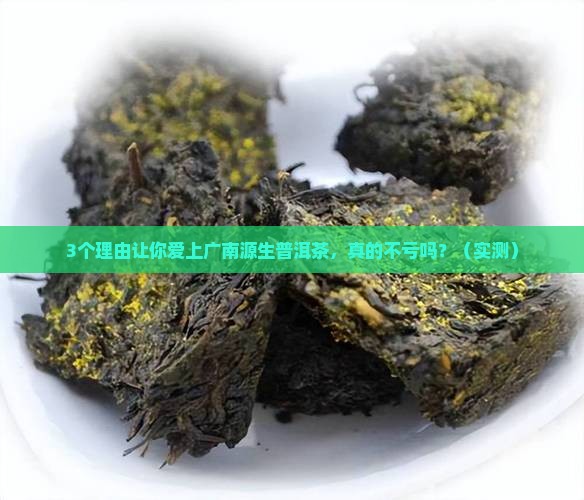 广南源生普洱茶