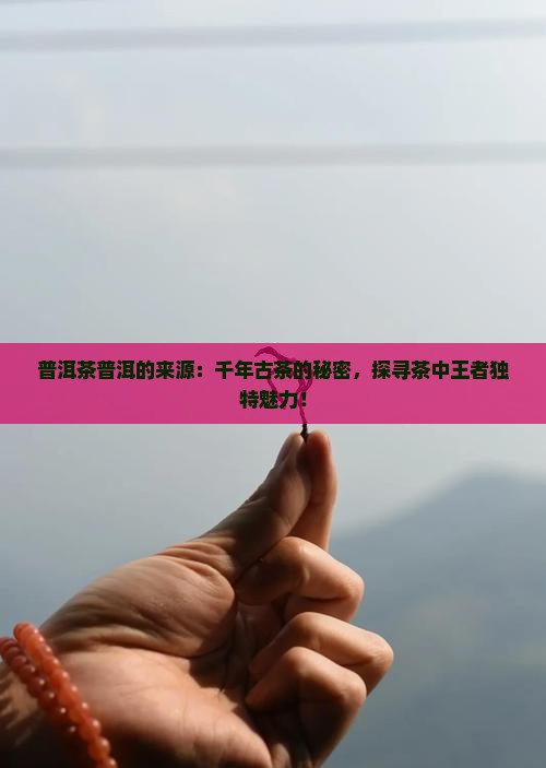 普洱茶普洱的来源