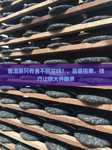 普洱茶只有苦不回甘吗是真的吗