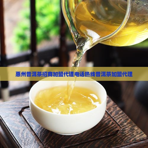 惠州普洱茶招商加盟代理