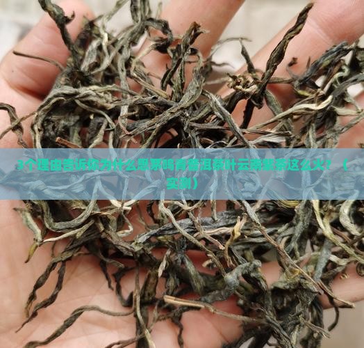思茅鸣青普洱茶叶云南紫茶