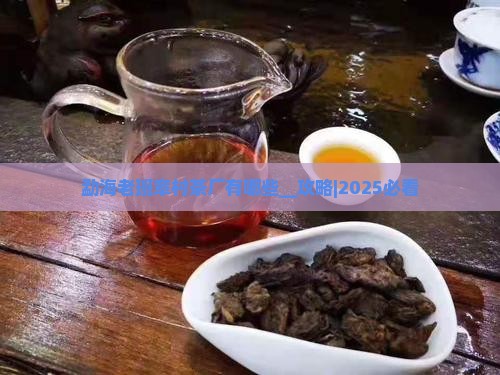 勐海老班章村茶厂有哪些