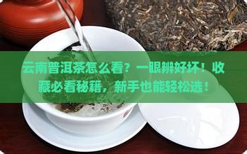 云南普洱茶怎么看