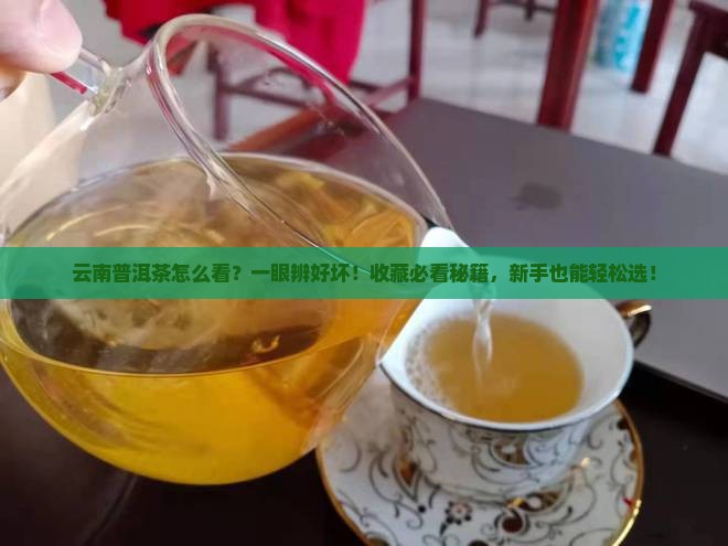 云南普洱茶怎么看