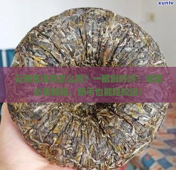 云南普洱茶怎么看