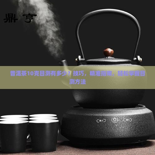 普洱茶10克目测有多少