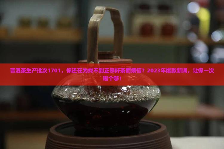 普洱茶生产批次1701