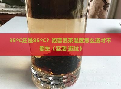 普洱茶小泡茶温度多少合适