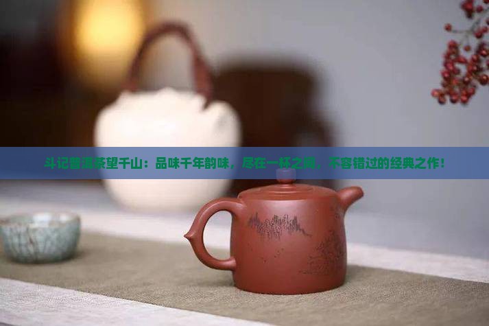 斗记普洱茶望千山