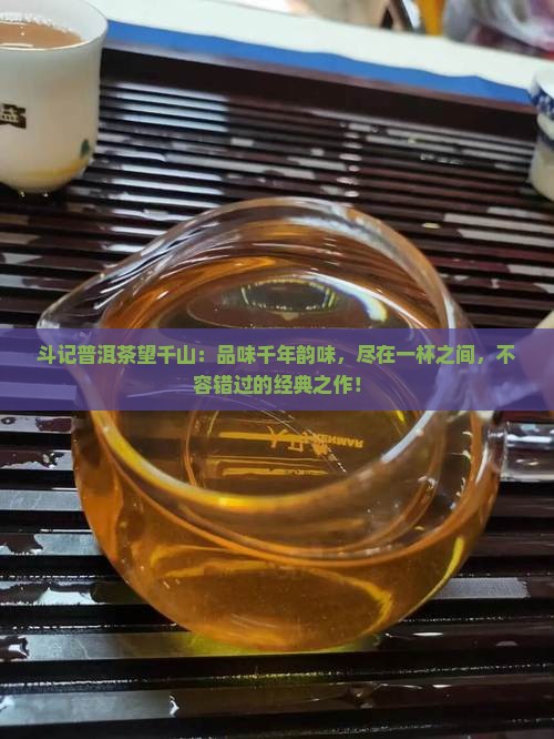斗记普洱茶望千山