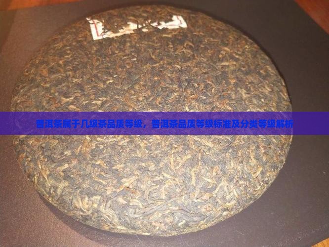 普洱茶属于几级茶品质等级