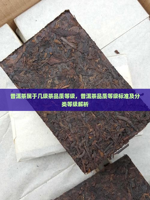 普洱茶属于几级茶品质等级