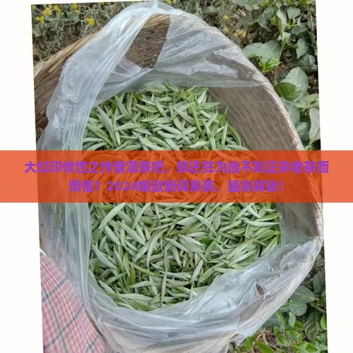 大红印传世之作普洱茶吧