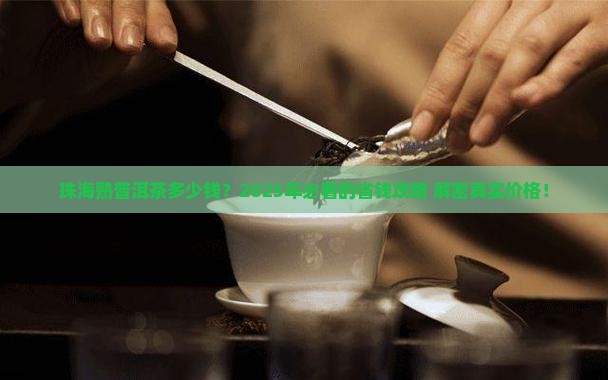 珠海熟普洱茶多少钱