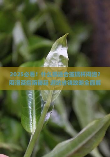 什么茶适合玻璃杯闷泡 什么茶适合玻璃杯闷泡