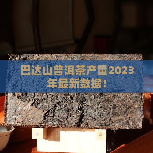 巴达山普洱茶产量