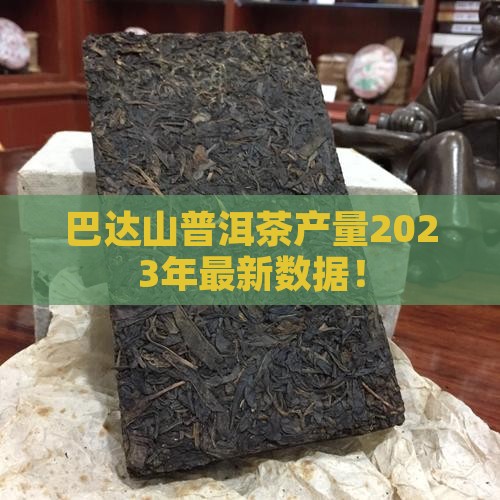 巴达山普洱茶产量