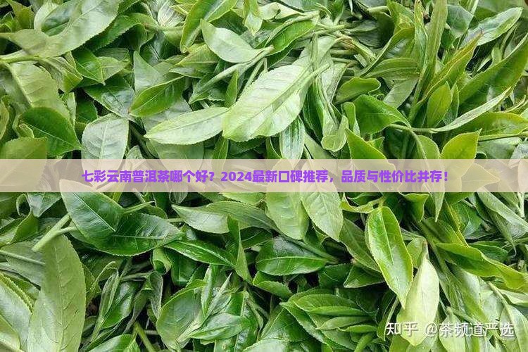 七彩云南普洱茶哪个品牌好