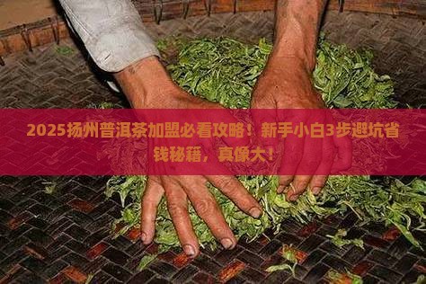 扬州普洱茶加盟