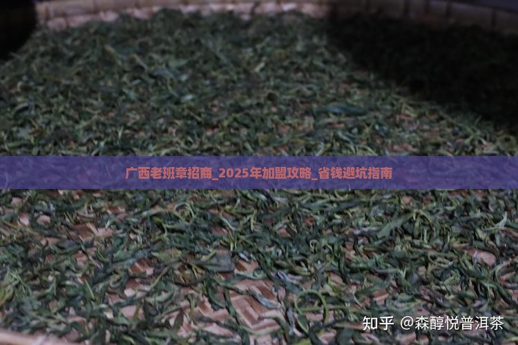 广西老班章品牌招商