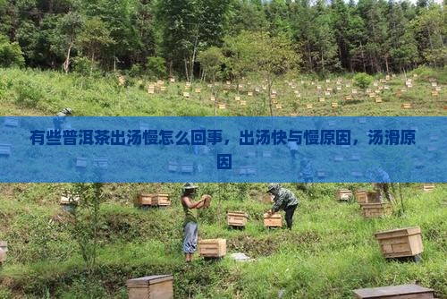 有些普洱茶出汤慢