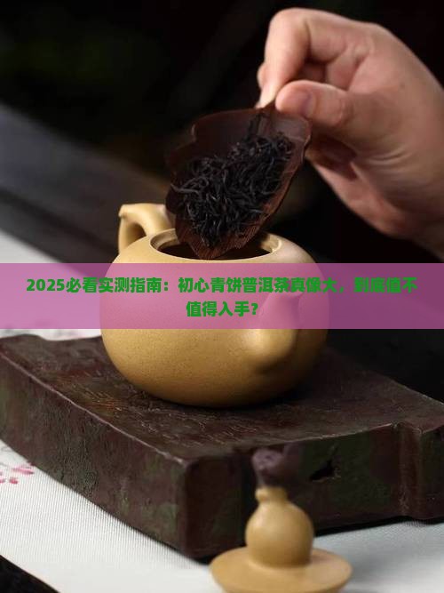 初心青饼普洱茶怎么样