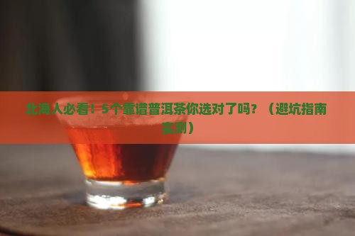 北海可靠的普洱茶品牌