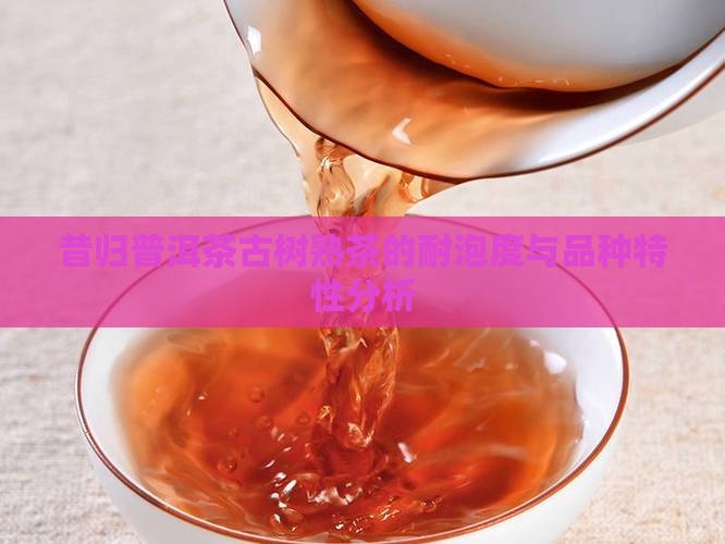 昔归熟茶的耐泡度