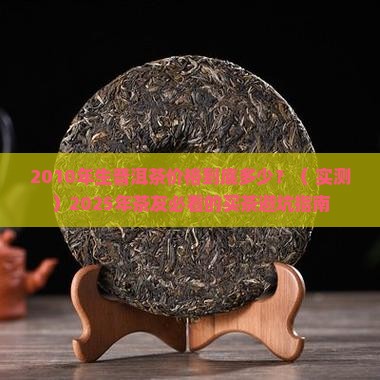 2010年的生普洱茶价格