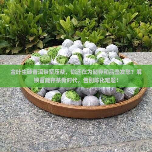 金叶生砖普洱茶紧压茶