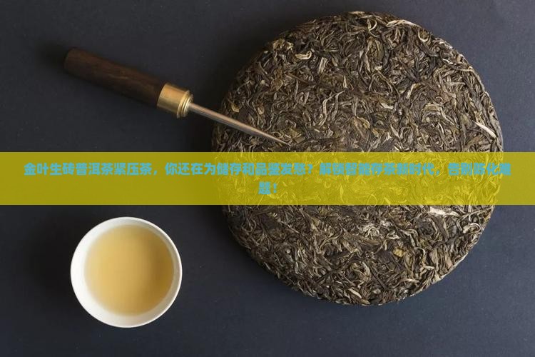 金叶生砖普洱茶紧压茶