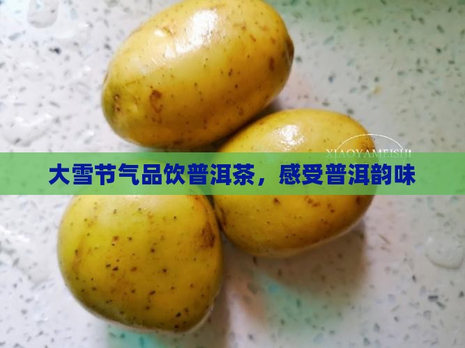 大雪节气普洱茶