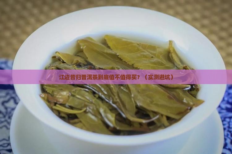 江边昔归普洱茶