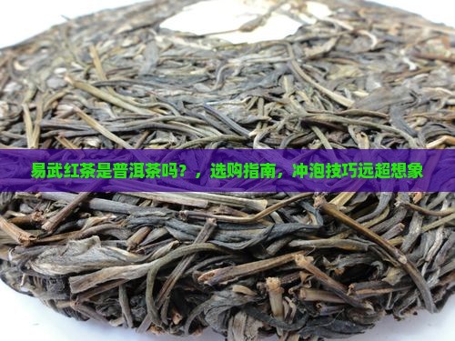 易武红茶是普洱茶吗