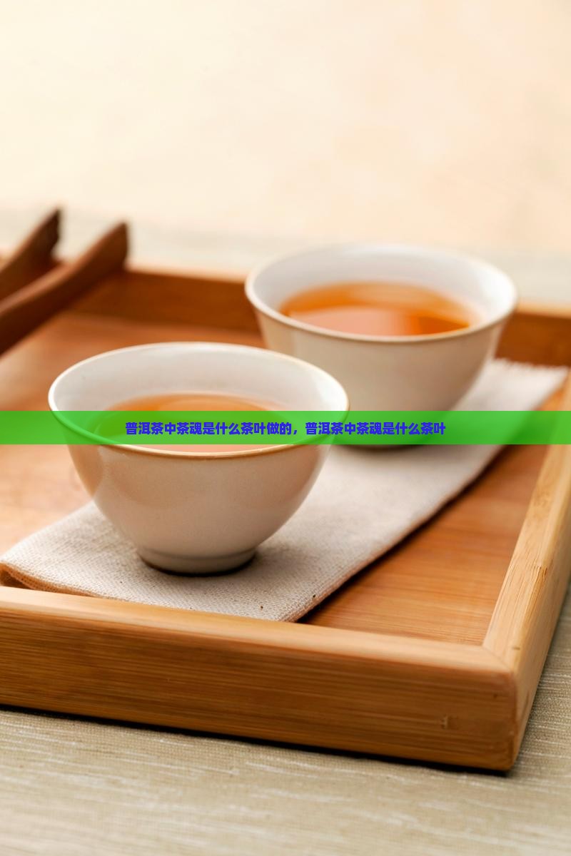 普洱茶中茶魂是什么茶叶