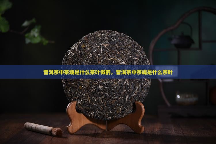 普洱茶中茶魂是什么茶叶