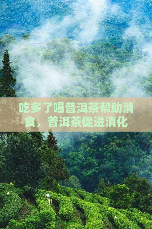 吃多了喝普洱茶好使吗
