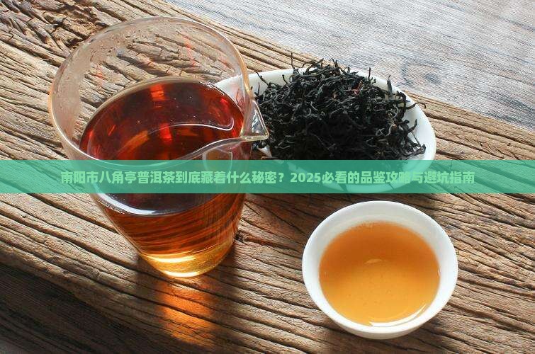 南阳市八角亭普洱茶