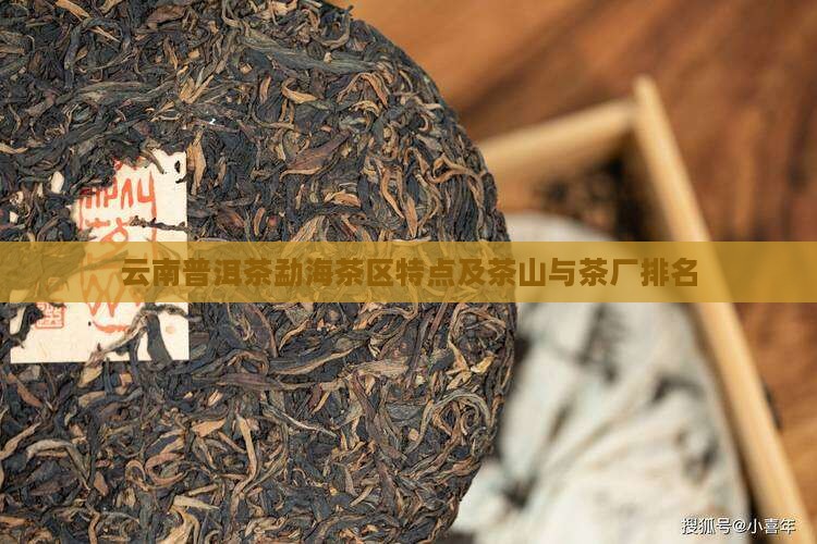 云南普洱茶勐海茶区